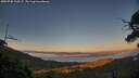 ./images/calvert/fitz-hugh-hecate/20250730/fitz-hugh-hecate20250730_210507M.jpg