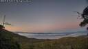 ./images/calvert/fitz-hugh-hecate/20250730/fitz-hugh-hecate20250730_213509M.jpg