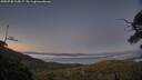 ./images/calvert/fitz-hugh-hecate/20250730/fitz-hugh-hecate20250730_215007M.jpg