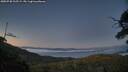 ./images/calvert/fitz-hugh-hecate/20250730/fitz-hugh-hecate20250730_215508M.jpg