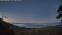 ./images/calvert/fitz-hugh-hecate/20250730/fitz-hugh-hecate20250730_220009M.jpg