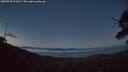 ./images/calvert/fitz-hugh-hecate/20250730/fitz-hugh-hecate20250730_221007M.jpg