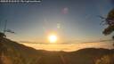./images/calvert/fitz-hugh-hecate/20250731/fitz-hugh-hecate20250731_063512M.jpg