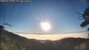 ./images/calvert/fitz-hugh-hecate/20250731/fitz-hugh-hecate20250731_070510M.jpg