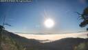 ./images/calvert/fitz-hugh-hecate/20250731/fitz-hugh-hecate20250731_073010M.jpg