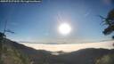 ./images/calvert/fitz-hugh-hecate/20250731/fitz-hugh-hecate20250731_073510M.jpg