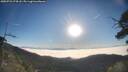 ./images/calvert/fitz-hugh-hecate/20250731/fitz-hugh-hecate20250731_074508M.jpg