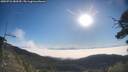 ./images/calvert/fitz-hugh-hecate/20250731/fitz-hugh-hecate20250731_083510M.jpg