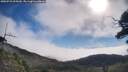 ./images/calvert/fitz-hugh-hecate/20250731/fitz-hugh-hecate20250731_095010M.jpg