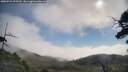 ./images/calvert/fitz-hugh-hecate/20250731/fitz-hugh-hecate20250731_095510M.jpg