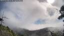 ./images/calvert/fitz-hugh-hecate/20250731/fitz-hugh-hecate20250731_100509M.jpg