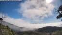 ./images/calvert/fitz-hugh-hecate/20250731/fitz-hugh-hecate20250731_101009M.jpg