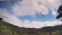 ./images/calvert/fitz-hugh-hecate/20250731/fitz-hugh-hecate20250731_104010M.jpg