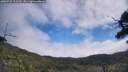 ./images/calvert/fitz-hugh-hecate/20250731/fitz-hugh-hecate20250731_111510M.jpg