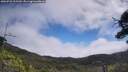 ./images/calvert/fitz-hugh-hecate/20250731/fitz-hugh-hecate20250731_112509M.jpg