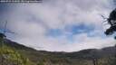 ./images/calvert/fitz-hugh-hecate/20250731/fitz-hugh-hecate20250731_113010M.jpg