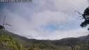 ./images/calvert/fitz-hugh-hecate/20250731/fitz-hugh-hecate20250731_114010M.jpg