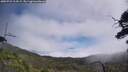 ./images/calvert/fitz-hugh-hecate/20250731/fitz-hugh-hecate20250731_114509M.jpg