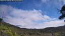 ./images/calvert/fitz-hugh-hecate/20250731/fitz-hugh-hecate20250731_115008M.jpg