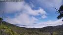 ./images/calvert/fitz-hugh-hecate/20250731/fitz-hugh-hecate20250731_115510M.jpg
