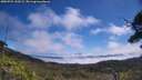 ./images/calvert/fitz-hugh-hecate/20250731/fitz-hugh-hecate20250731_120509M.jpg