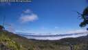 ./images/calvert/fitz-hugh-hecate/20250731/fitz-hugh-hecate20250731_121510M.jpg
