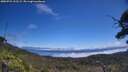 ./images/calvert/fitz-hugh-hecate/20250731/fitz-hugh-hecate20250731_122509M.jpg