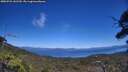 ./images/calvert/fitz-hugh-hecate/20250731/fitz-hugh-hecate20250731_141510M.jpg
