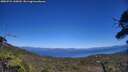 ./images/calvert/fitz-hugh-hecate/20250731/fitz-hugh-hecate20250731_145009M.jpg