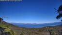./images/calvert/fitz-hugh-hecate/20250731/fitz-hugh-hecate20250731_151008M.jpg