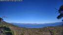 ./images/calvert/fitz-hugh-hecate/20250731/fitz-hugh-hecate20250731_163509M.jpg
