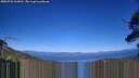 ./images/calvert/fitz-hugh-hecate/20250731/fitz-hugh-hecate20250731_165009M.jpg
