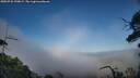 ./images/calvert/fitz-hugh-hecate/20250731/fitz-hugh-hecate20250731_190009M.jpg
