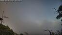 ./images/calvert/fitz-hugh-hecate/20250731/fitz-hugh-hecate20250731_191008M.jpg