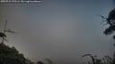 ./images/calvert/fitz-hugh-hecate/20250731/fitz-hugh-hecate20250731_193506M.jpg