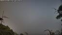 ./images/calvert/fitz-hugh-hecate/20250731/fitz-hugh-hecate20250731_194009M.jpg