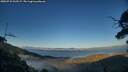 ./images/calvert/fitz-hugh-hecate/20250731/fitz-hugh-hecate20250731_202508M.jpg