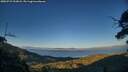 ./images/calvert/fitz-hugh-hecate/20250731/fitz-hugh-hecate20250731_203007M.jpg