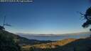 ./images/calvert/fitz-hugh-hecate/20250731/fitz-hugh-hecate20250731_203508M.jpg