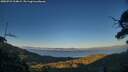 ./images/calvert/fitz-hugh-hecate/20250731/fitz-hugh-hecate20250731_204008M.jpg