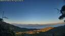 ./images/calvert/fitz-hugh-hecate/20250731/fitz-hugh-hecate20250731_205006M.jpg