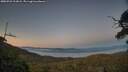 ./images/calvert/fitz-hugh-hecate/20250731/fitz-hugh-hecate20250731_213008M.jpg