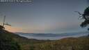 ./images/calvert/fitz-hugh-hecate/20250731/fitz-hugh-hecate20250731_213509M.jpg