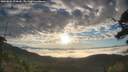 ./images/calvert/fitz-hugh-hecate/20250801/fitz-hugh-hecate20250801_070009M.jpg