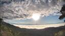 ./images/calvert/fitz-hugh-hecate/20250801/fitz-hugh-hecate20250801_072510M.jpg