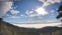 ./images/calvert/fitz-hugh-hecate/20250801/fitz-hugh-hecate20250801_082509M.jpg