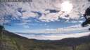./images/calvert/fitz-hugh-hecate/20250801/fitz-hugh-hecate20250801_092509M.jpg