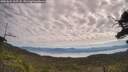 ./images/calvert/fitz-hugh-hecate/20250801/fitz-hugh-hecate20250801_105508M.jpg