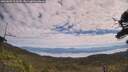 ./images/calvert/fitz-hugh-hecate/20250801/fitz-hugh-hecate20250801_114510M.jpg