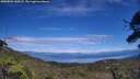 ./images/calvert/fitz-hugh-hecate/20250801/fitz-hugh-hecate20250801_144508M.jpg
